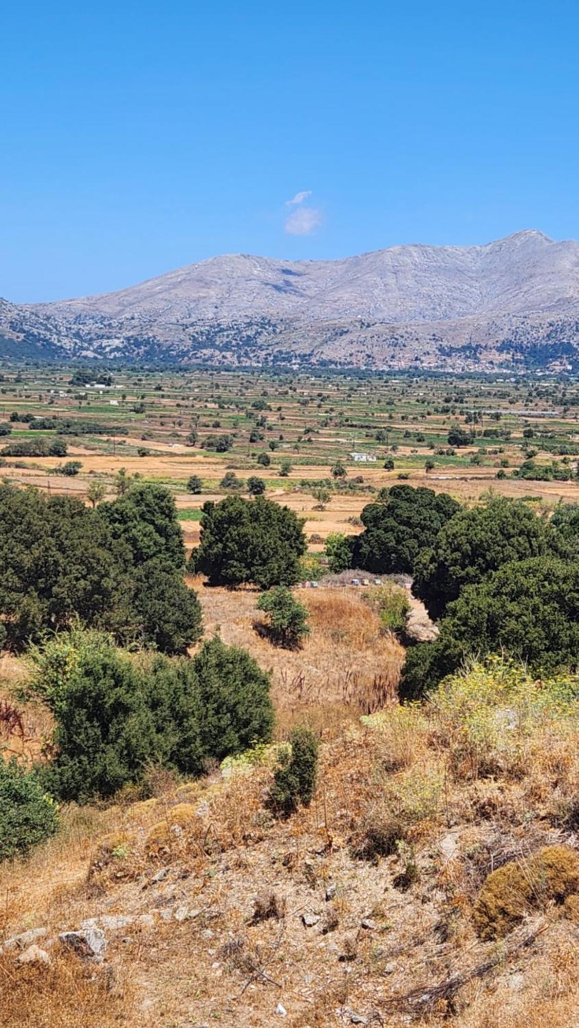 Dionysus Lasithi Plateau Magoulás Dış mekan fotoğraf